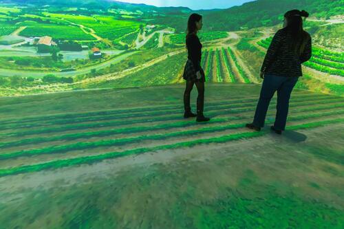 Néovinum Parcours scénographié - Salle Terroir - Vignerons Ardéchois ©Mon Oeil