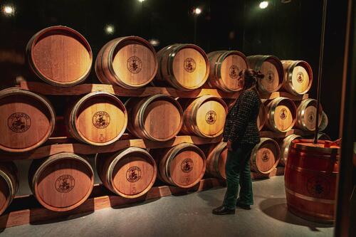 Néovinum - Parcours scénographié - Vignerons Ardéchois - ©Mon Oeil