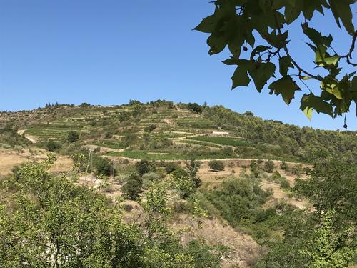 Coteau Saint Giraud - Vignerons Ardéchois