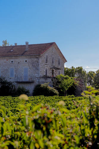 Vignes Balazuc