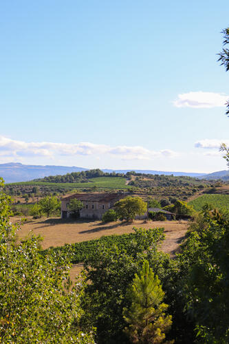 Vignes Balazuc