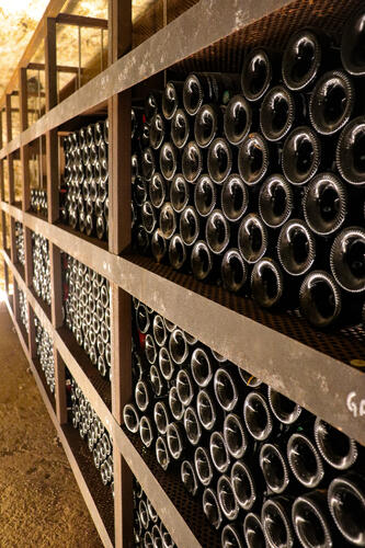 Visite œnologique Aven d'Orgnac - Vignerons Ardéchois ©S.Charbonneyre Vignerons Ardéchois