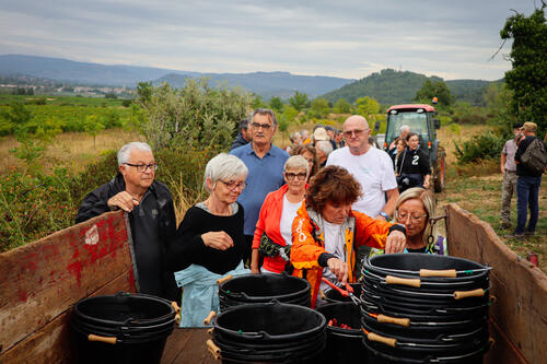 Sociétaires Ardèche Vignobles