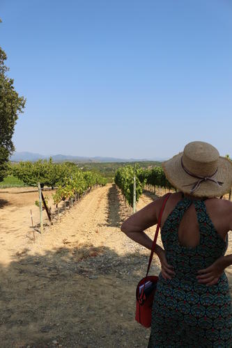 Oenotourisme - Balade dans les vignes - Vignerons Ardéchois