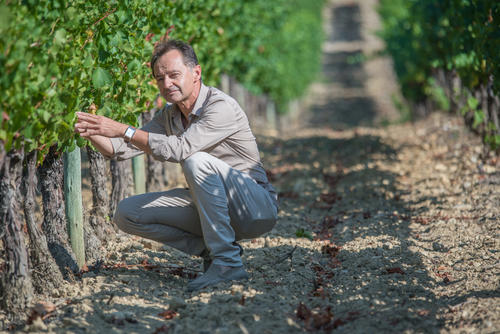 Philippe Dry - Directeur des Vignerons Ardéchois - ©J.F ARNAUD