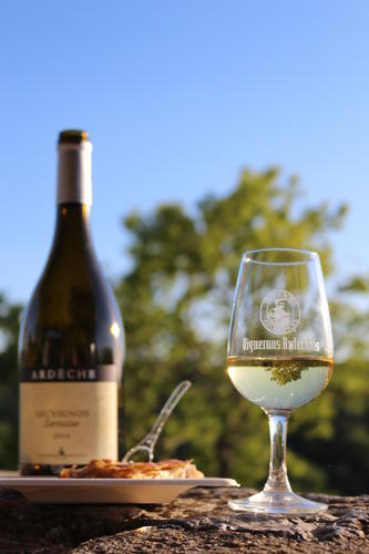 Sauvignon Sarrasine - Vignerons Ardéchois