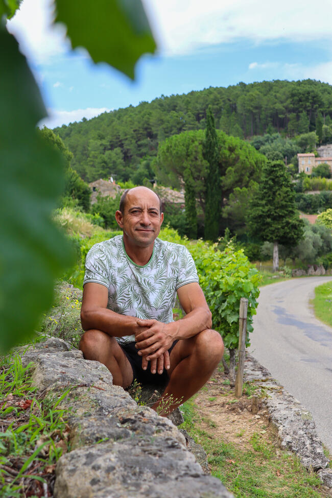 Participer à la vie du vignoble