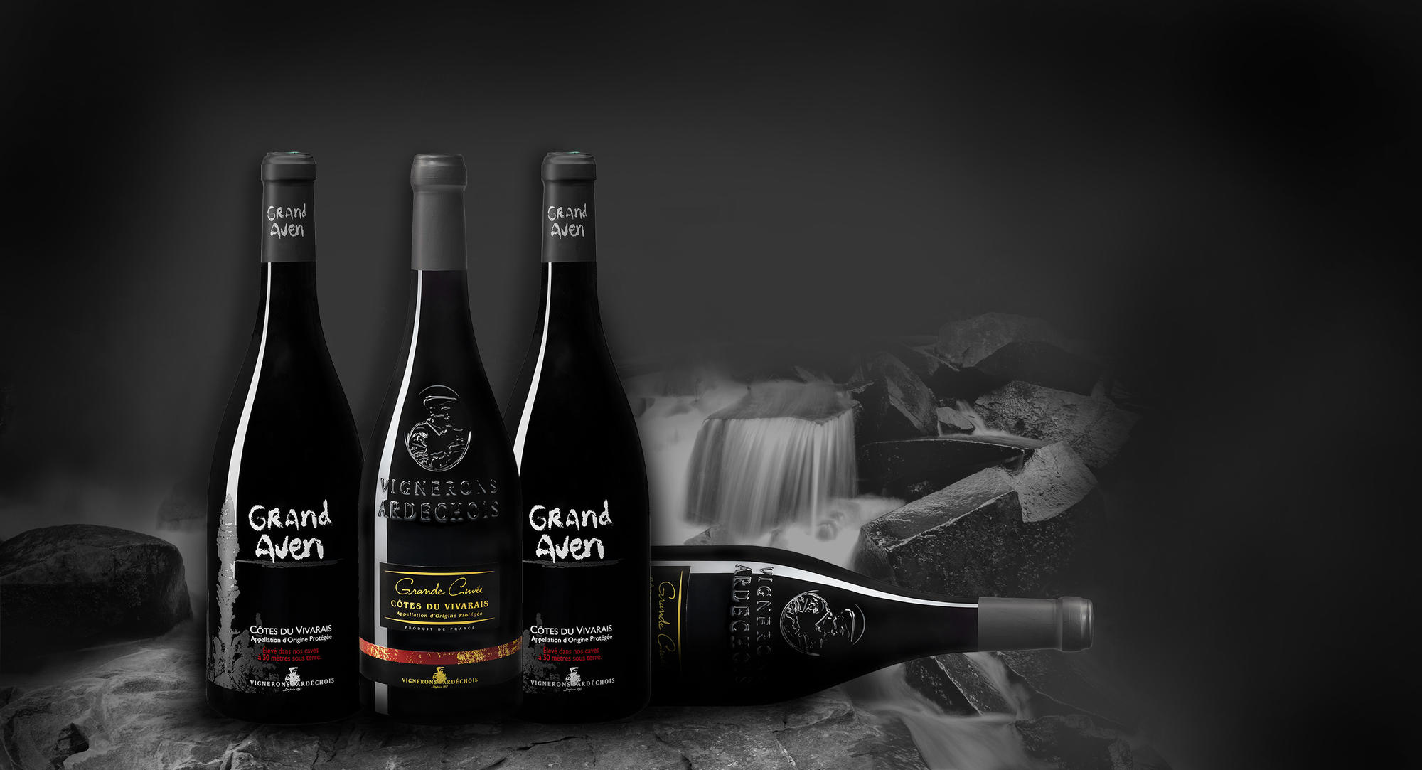 Discover our wines from this terroir