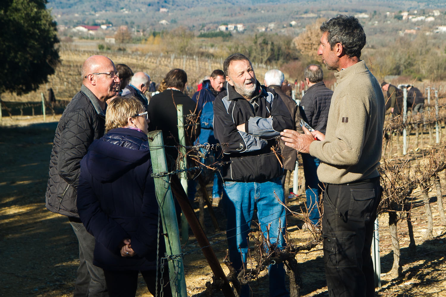 Les Vignerons Ardéchois font l’acquisition d’un vignoble participatif