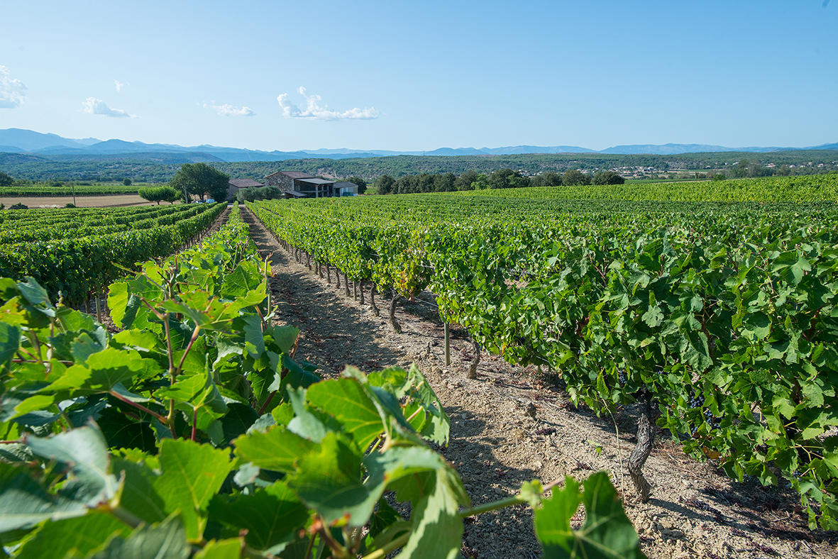 Domaine Terra Noé