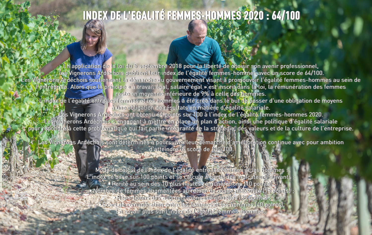 Index de l'égalité Femmes-Hommes