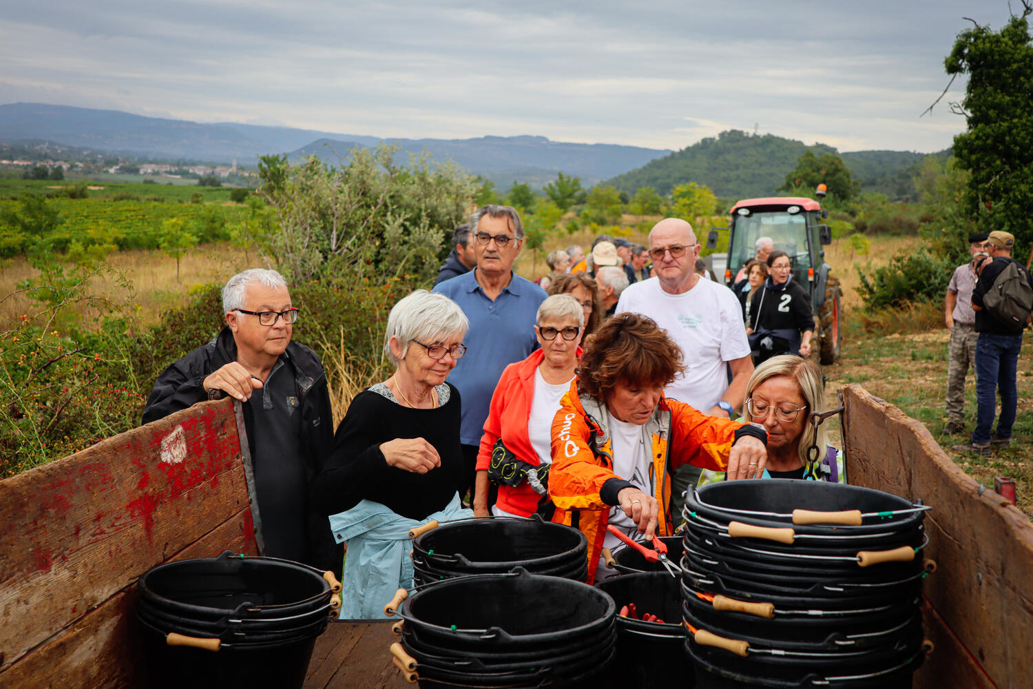 Ardèche Vignobles : Vendanges Solidaires