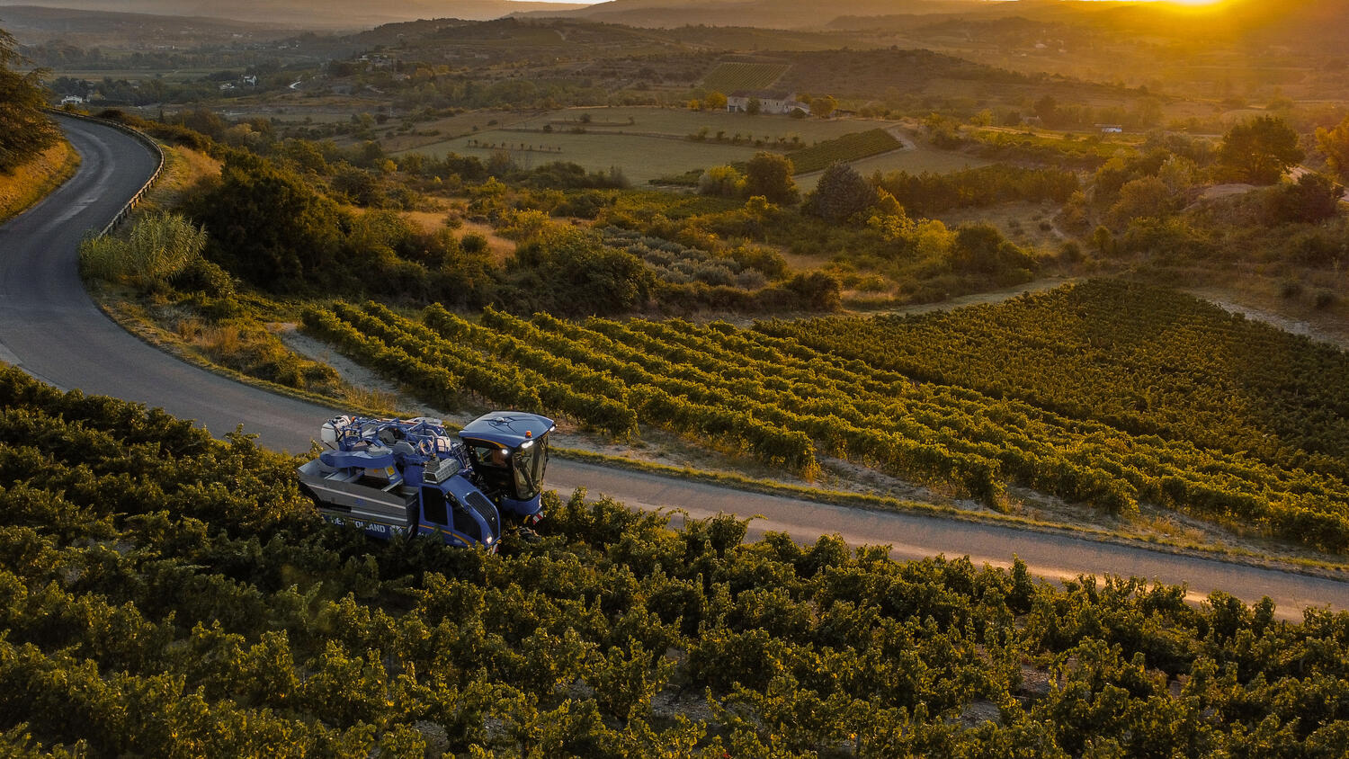 VENDANGES 2024