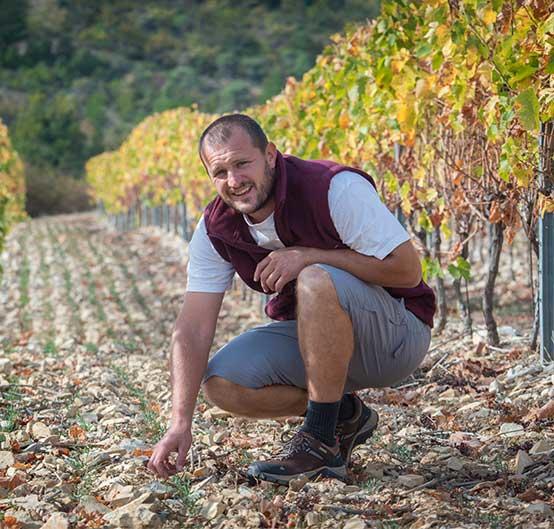 Fertilisation et entretien des sols