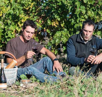 Training of winegrowers