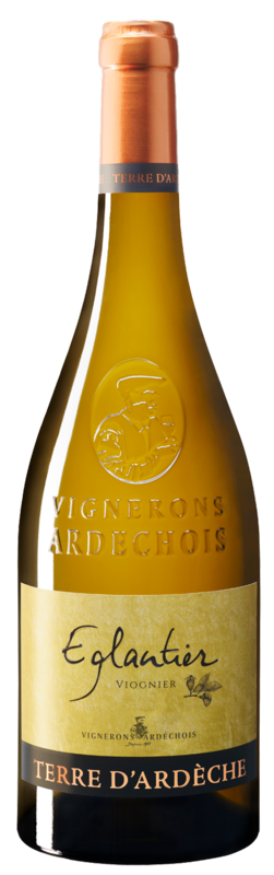 Bouteille de vin - Eglantier