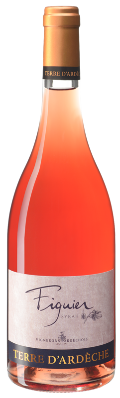 Bouteille de vin - Figuier