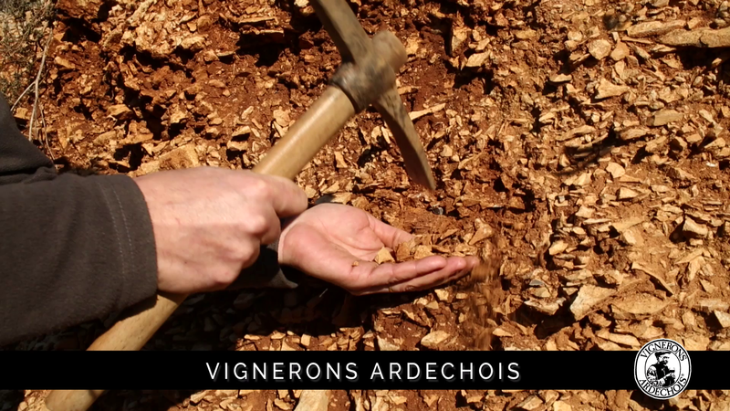 Les terroirs des Vignerons Ardéchois - Une mosaïque depuis les Cévennes à la Vallée du Rhône
